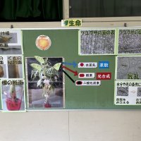 理科室の壁面には・・・