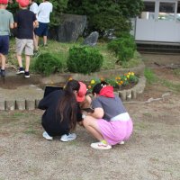 学習の様子と花の苗植え