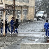 学校が雪化粧に！雪がいっぱい降りました