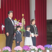 ご入学、おめでとうございます！