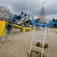 1年生　初めての外遊び