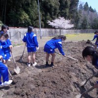 マツオカfarm始動です！